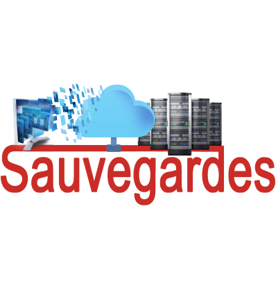 Sauvegarde forfait 500 go