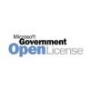 Office Microsoft OLP Std 2013 GOV [NL]