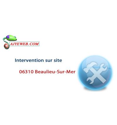 Forfait dépannage informatique déplacement sur site Beaulieu-sur-Mer et jusqu’à 1 Heure de main d’œuvre
