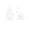 Siège ergonomique Premium Plus Gaming Chair Orange AK-PPLUS-OR AKRACING